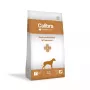 Ração seca para cães Calibra Veterinary Diets Gastrointestinal Salmon 2 kg – fórmula veterinária para a digestão