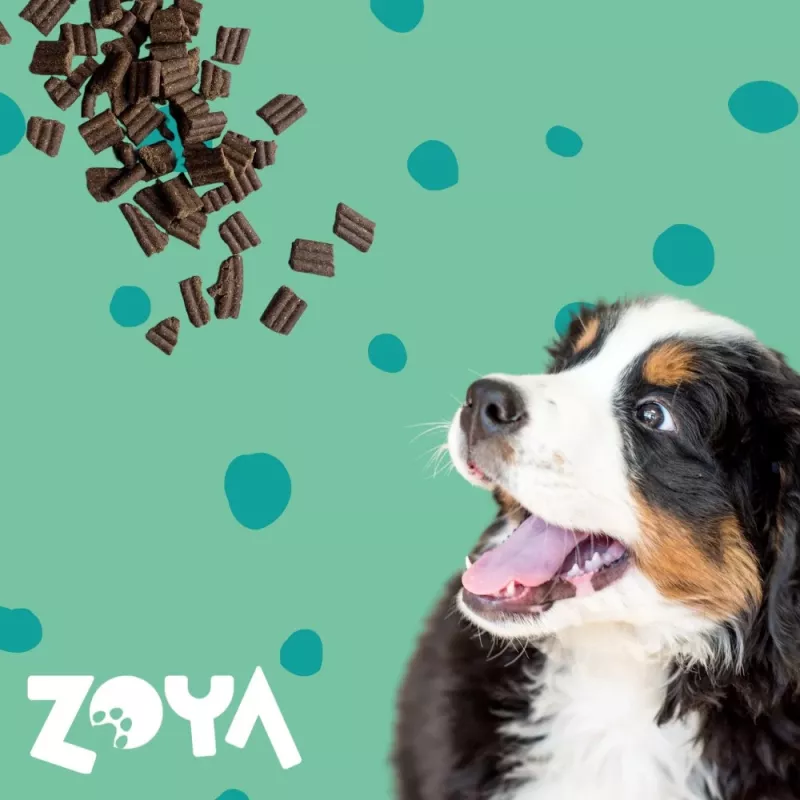 ZOYA ColdPRO ração seca para cães, veado, 9 kg