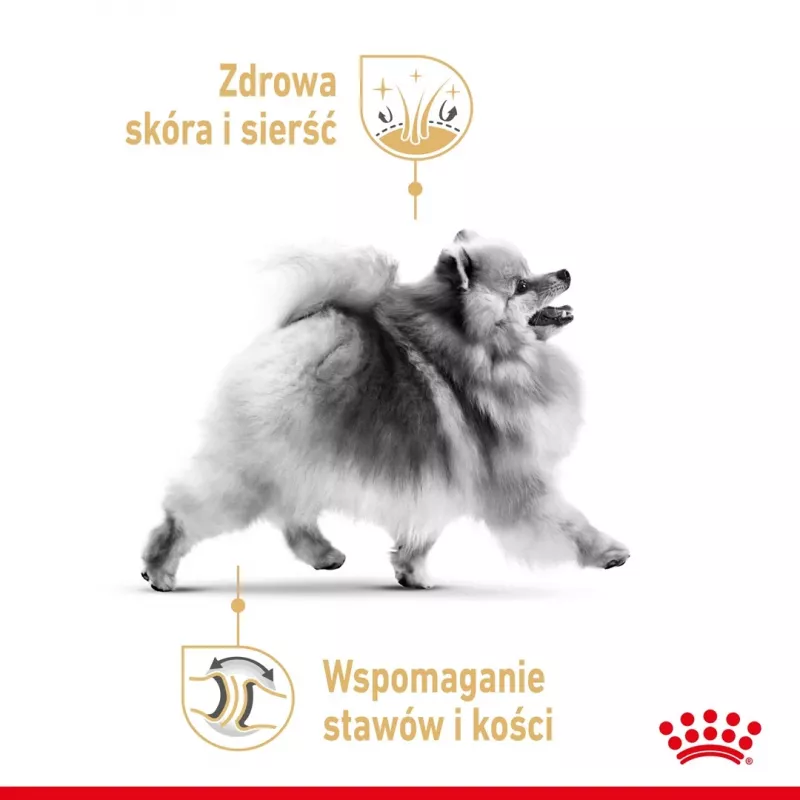 Comida seca Royal Canin Pomeranian Adult 3 kg – fórmula para raças pequenas para pomerânias adultos