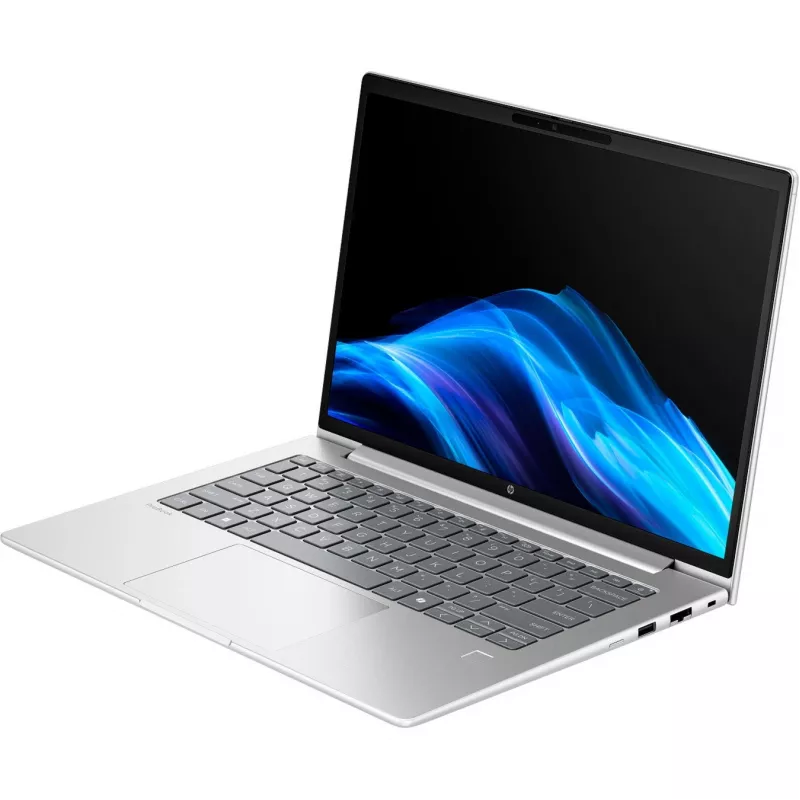 Probook 4 G1a (C07P4ES), Portátil prateado, AMD Ryzen 5 230, AMD Radeon 760M, 16 GB DDR5, 512 GB (512 GB SSD), Windows 11 Pro