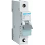 Hager MBS125. Corrente nominal: 25 A. Tipo: característica B, número de módulos (máx.): 1 módulo(s). Largura: 17,5 mm, profundidade: 70 mm, altura: 83,4 mm (MBS125)