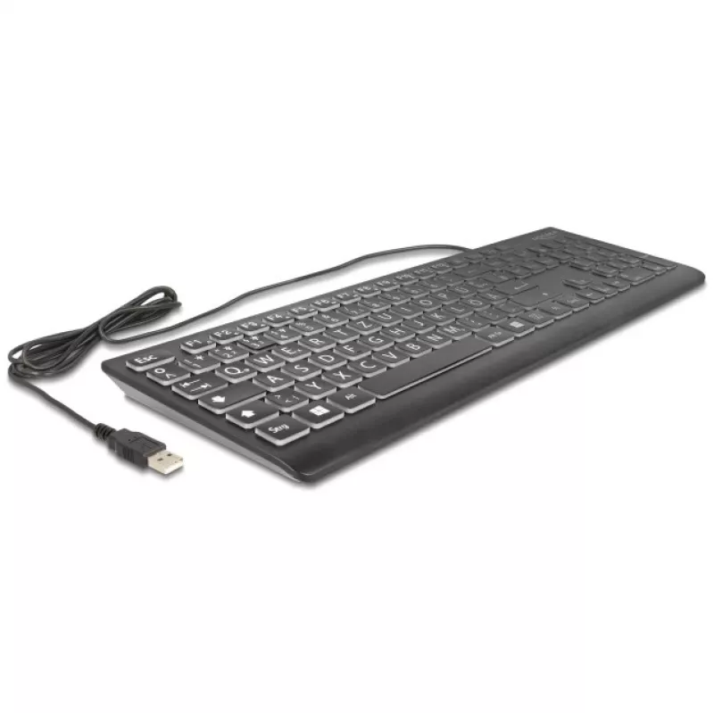 DeLOCK 12170 teclado USB com letras XXL e iluminação, 1,5 m, preto