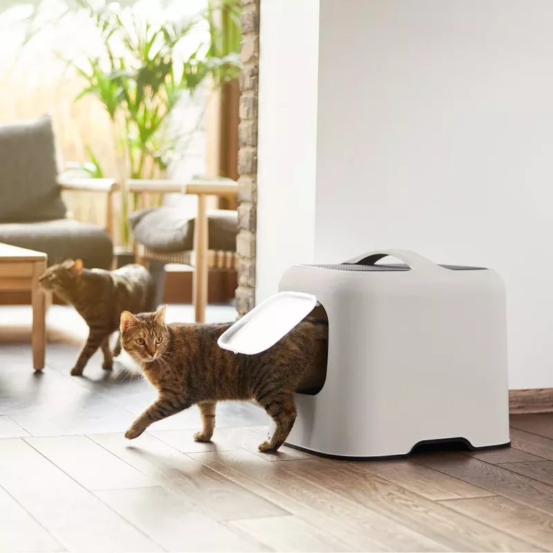Rotho Biala caixa de areia para gatos, cappuccino