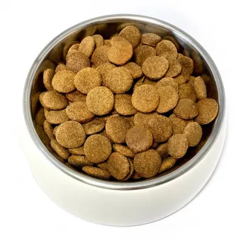 TEO rica em aves - comida seca para cães - 9kg