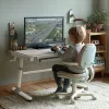 Secretária infantil ergonómica de altura ajustável Ergo Office, cinzento, máx. 100 kg, ER-417 2cz