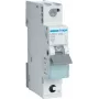 Hager MBS106. Corrente nominal: 6 A, frequência de rede: 50/60 Hz. Tipo: tipo B, número de módulos (máx.): 1 módulo(s). Largura: 17,5 mm, profundidade: 70 mm, altura: 83,4 mm (MBS106)