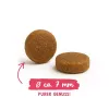 BOSCH Sanabelle Adult Chicken & Blueberries - Alimento Seco para Gatos - 2 kg