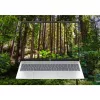 HP OmniBook 5 AI 16-ag1222nw Ryzen AI 5 340 162K Touch IPS 300nits AG 16GB LPDDR5x-750 SSD512 Radeon 840M Cam 1080p 59Wh Win11 Glacial prateado 2Y