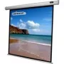 CELEXON motor para ecrã Economy 240x240 cm incluindo caixa de controlo e telecomando IV margem e parte traseira pretas Gain 1.2 (1090068)