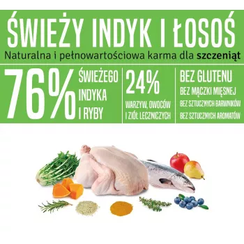 ARQUIVET Fresh Puppy peru e salmão - comida semihúmida para cães - 10 kg
