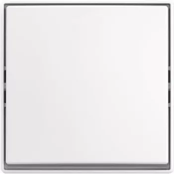 Interruptor de tecla BUSCH JAEGER AP 2601/6 J-524 (2TKA00005521)