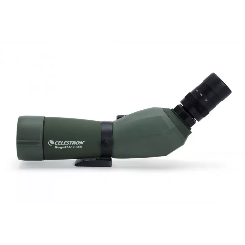 Telescópio terrestre Celestron Regal M2 65ED 48x BaK-4 preto, verde