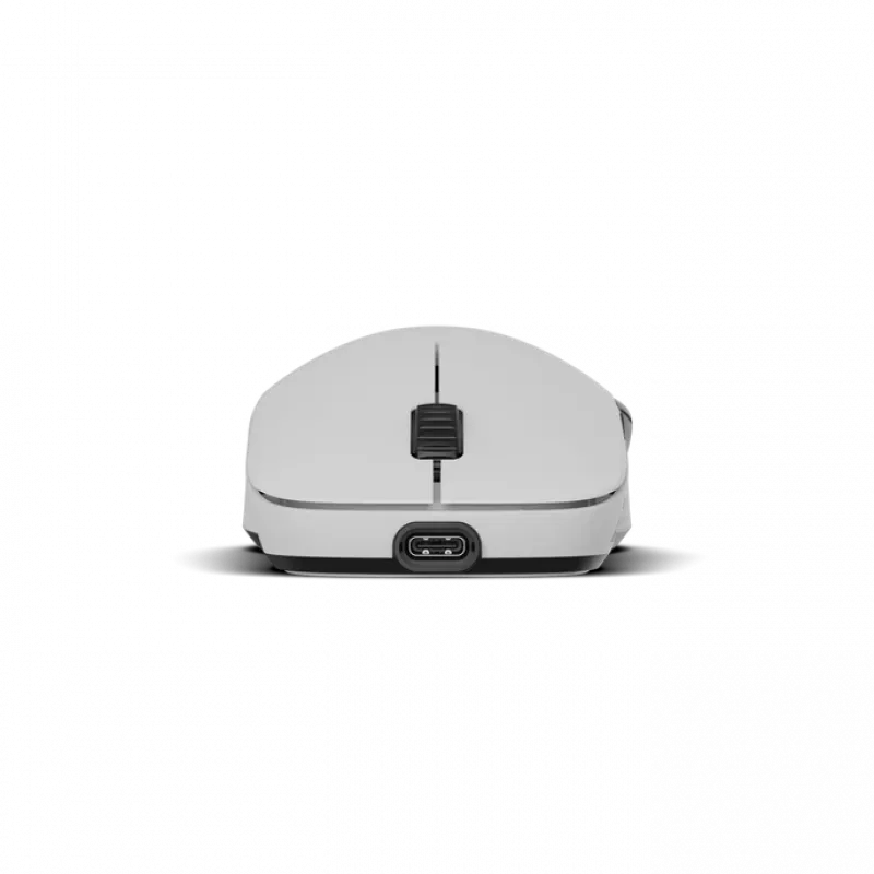 Rato Endgame Gear XM2w 4k Wireless