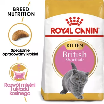Ração seca para gatos Royal Canin British Shorthair Kitten 2 kg – frango, 38% proteína, 20% gordura, fórmula de crescimento