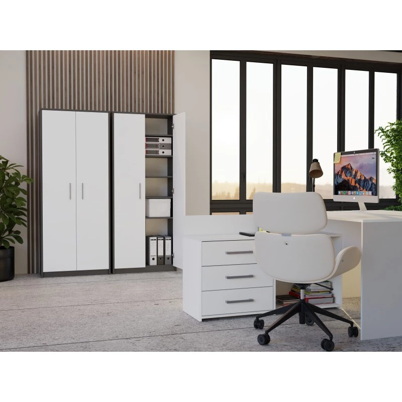ESTANTE FECHADA OLIV 2D, ANTRACITE/Branco CONJUNTO