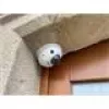 Câmara de vigilância IP Hikvision DS-2CD2543G2-IS(2.8MM) Dome