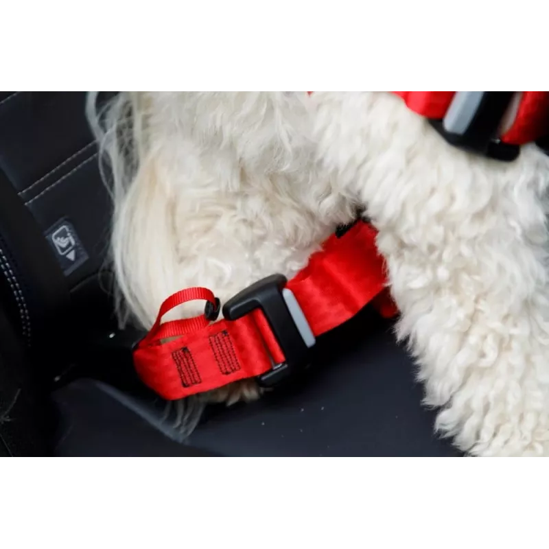 Arnês para cão ZOLUX TRAVEL SAFE M, tamanho M, vermelho