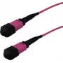 Cabo de fibra ótica InfiniBand GRAFENTHAL GTOM4MPOUMPOU00500 5m MPO OFC violeta