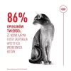 ROYAL CANIN Savour Exigent – Ração seca para gatos – 4 kg
