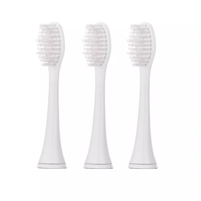 Escova de dentes sónica Blaupunkt DTS601