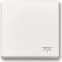 BJ 2520 LI-84 tecla com inscrição branco estúdio solo cobertura (2CKA001751A3189)