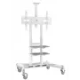 Suporte de TV ONKRON TS1881-W para televisores de 50–86 polegadas, branco, suporte universal autónomo