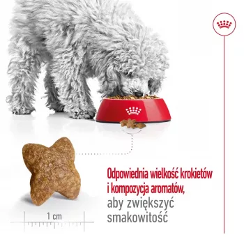 Ração seca para cães Royal Canin Adult Mini S 8 kg — alimento completo para cães adultos de raças pequenas