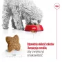 Ração seca para cães Royal Canin Adult Mini S 8 kg — alimento completo para cães adultos de raças pequenas
