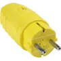 As Schwabe 62403 amarelo