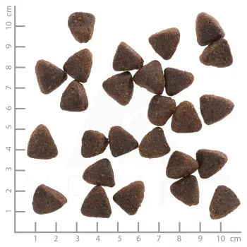 Alimento seco para cães Wolfsblut Jack Rabbit 12,5 kg — sem cereais, sabor coelho, 28 % proteína, 19 % gordura