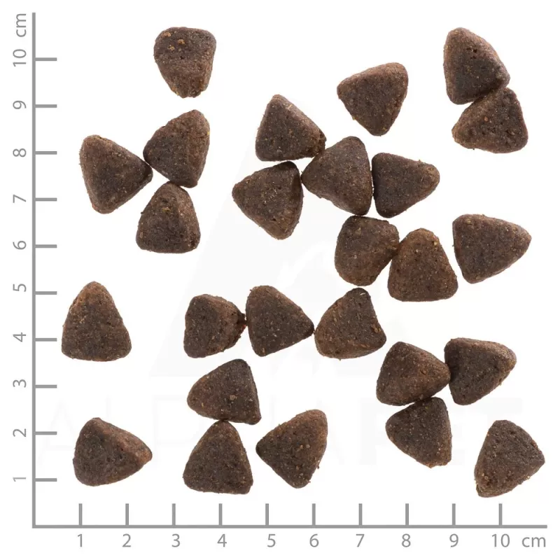 Wolfsblut Jack Rabbit ração seca para cães com coelho e legumes, 12,5 kg