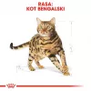 Royal Canin FBN Bengal Adult alimento seco para gatos, 10 kg