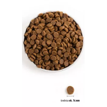 ACANA Senior - Alimento seco para cães - 11,4 kg