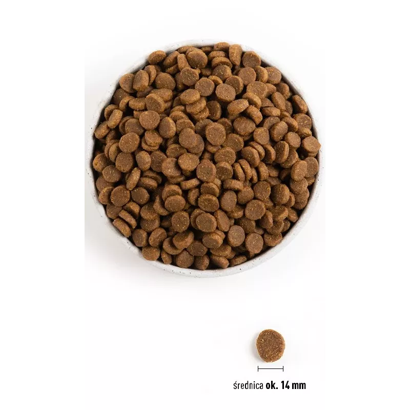 ACANA Senior - Alimento seco para cães - 11,4 kg