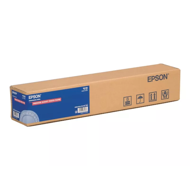 Epson papel fotográfico semibrilhante Premium rolo, 16 polegadas x 30,5 m, 250 g/m²