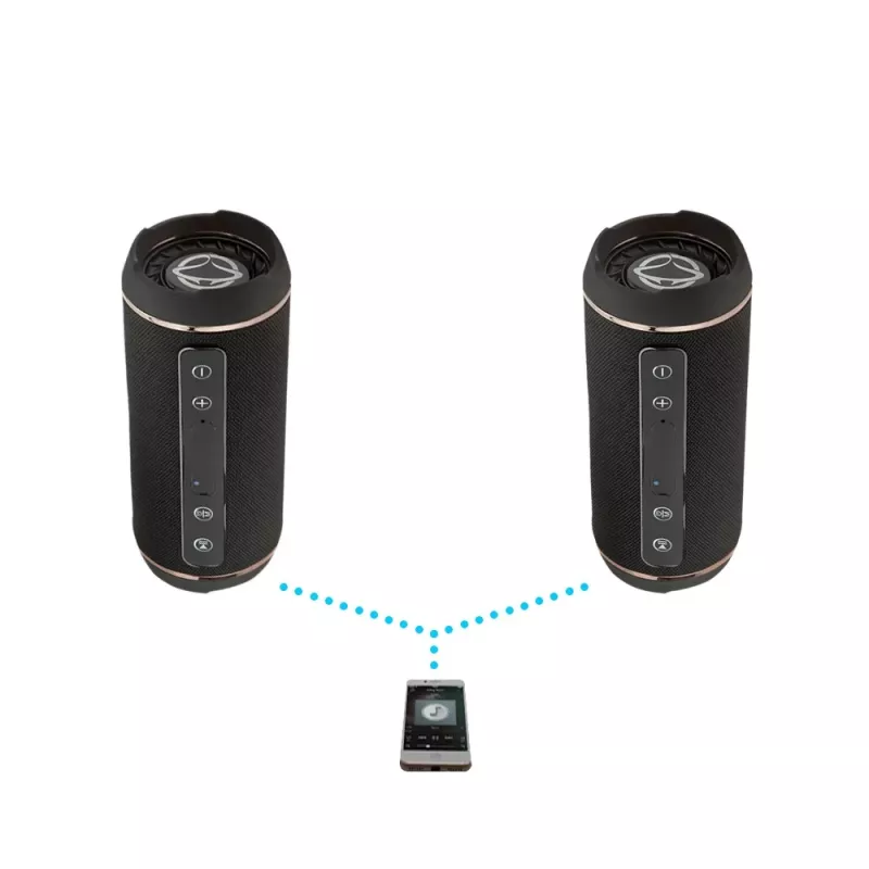 Altifalante portátil Manta SPK13GO BT, preto