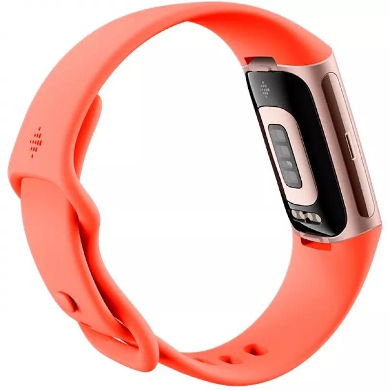 Fitbit Charge 6 - Champagne Gold Aluminium - monitor de atividade com Infinity Band - silicone - cor de coral - NFC, Bluetooth - 37,64 g (40-56-7910)