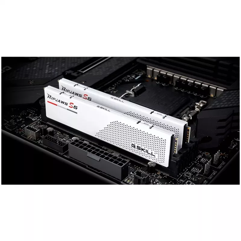 G.Skill F5-6000J3036F24GX2-RS5W 48 GB (2 x 24 GB) DDR5-6000 CL30 Kit de memória
