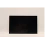 Lenovo 5D10V82406 ecrã LCD de 16,0 polegadas (AUO B160UAN03.2)
