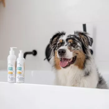Champô para gatos VETEXPERT Clinic Care Hypo&Omega 250 ml – champô hidratante hipoalergénico com ácidos gordos ómega para gatos adultos, todos os tipos de pelo