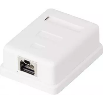 Tomada de rede Renkforce CAT 6 1 porta, branco