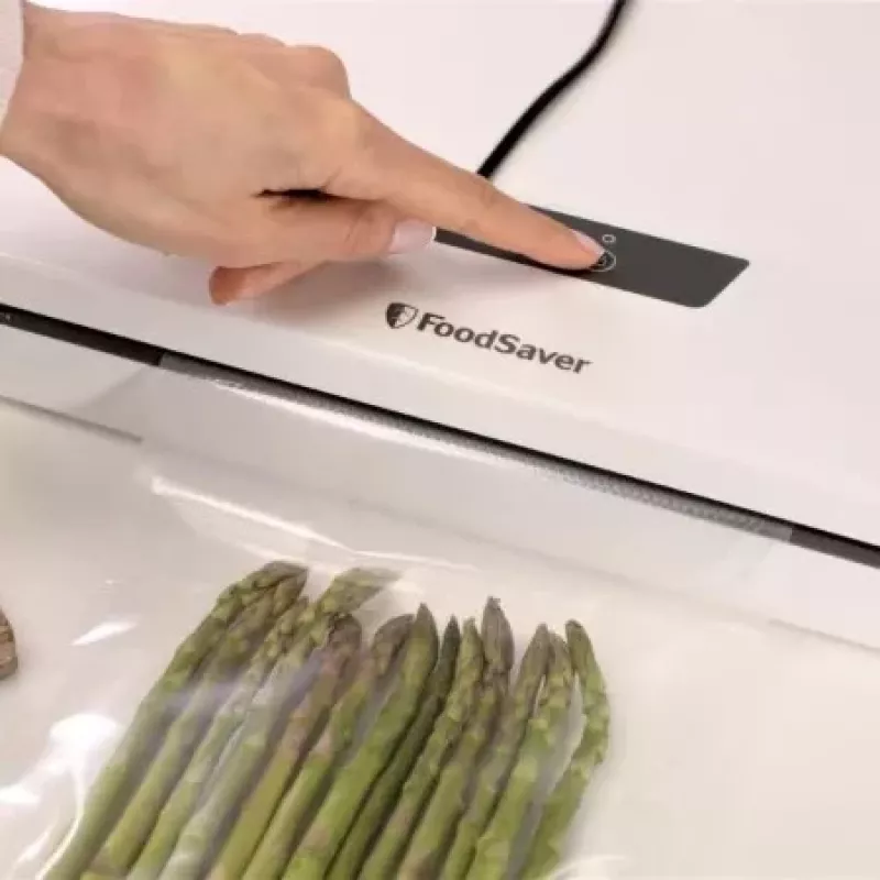 Máquina de vácuo FoodSaver VS0290X