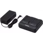 Panasonic AG-BRD50 - carregador + fonte de alimentação - 2 x carga de bateria - 4000 mA (AG-BRD50E)