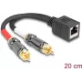 Cabo de áudio DeLOCK 0,2 m RJ-45 2 x RCA preto
