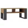 Mesa de centro top e shop Modern 90×58×50 cm, estrutura antracite, prateleiras em carvalho Artisan mate