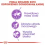 ROYAL CANIN Sterilised 37 - Ração seca para gatos - 10 kg