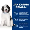 HILL'S PRESCRIPTION DIET Canine c/d Multicare Alimento seco para cães com frango 12 kg