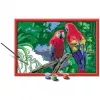 Ravensburger pintar por números - Papagaios coloridos