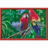 Ravensburger pintar por números - Papagaios coloridos