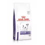 Royal Canin VHN Dog Dental Small ração seca para cães, 2 kg